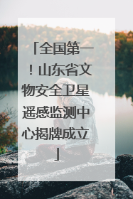 全国第一！山东省文物安全卫星遥感监测中心揭牌成立