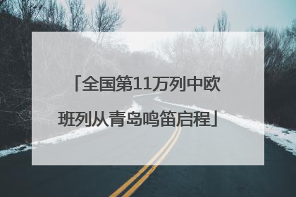 全国第11万列中欧班列从青岛鸣笛启程
