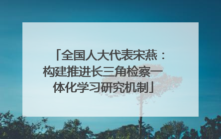 全国人大代表宋燕：构建推进长三角检察一体化学习研究机制