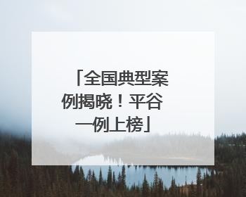 全国典型案例揭晓！平谷一例上榜