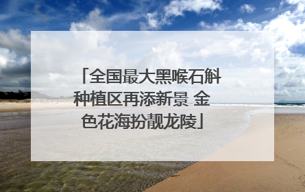 全国最大黑喉石斛种植区再添新景 金色花海扮靓龙陵