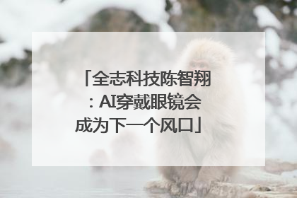 全志科技陈智翔：AI穿戴眼镜会成为下一个风口