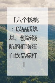 六个核桃：以品质筑基、创新领航的植物蛋白饮品标杆