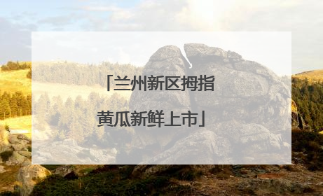 兰州新区拇指黄瓜新鲜上市