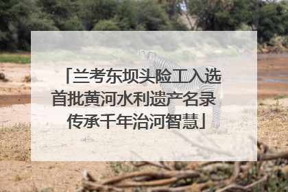 兰考东坝头险工入选首批黄河水利遗产名录 传承千年治河智慧