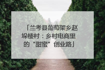 兰考县葡萄架乡赵垛楼村：乡村电商里的“甜蜜”创业路