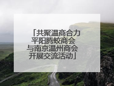 共聚温商合力 平阳腾蛟商会与南京温州商会开展交流活动