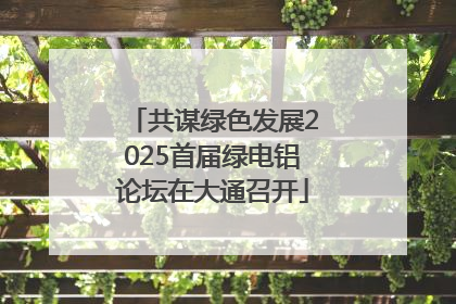 共谋绿色发展2025首届绿电铝论坛在大通召开