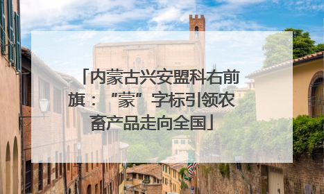 内蒙古兴安盟科右前旗：“蒙”字标引领农畜产品走向全国