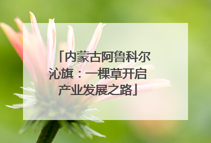 内蒙古阿鲁科尔沁旗：一棵草开启产业发展之路