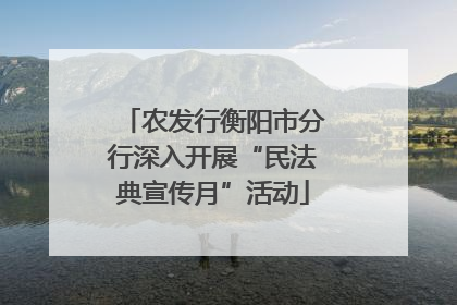 农发行衡阳市分行深入开展“民法典宣传月”活动