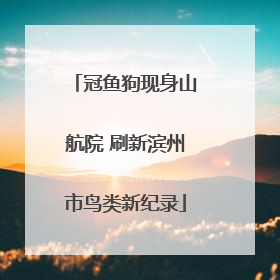 冠鱼狗现身山航院 刷新滨州市鸟类新纪录