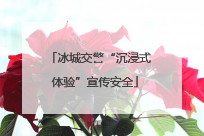 冰城交警“沉浸式体验”宣传安全