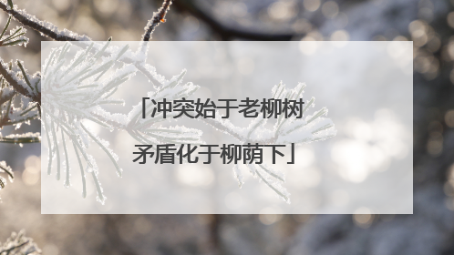 冲突始于老柳树 矛盾化于柳荫下