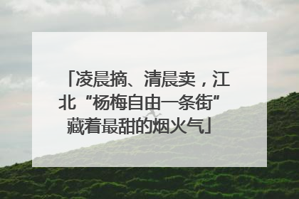 凌晨摘、清晨卖，江北“杨梅自由一条街”藏着最甜的烟火气