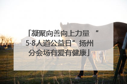 凝聚向善向上力量 “5·8人道公益日”扬州分会场有爱有健康