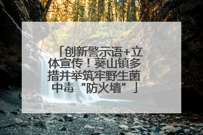 创新警示语+立体宣传！葵山镇多措并举筑牢野生菌中毒“防火墙”