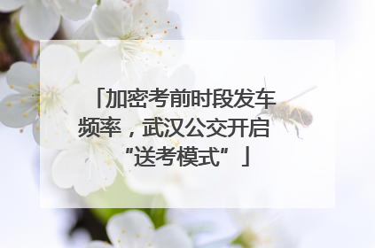 加密考前时段发车频率，武汉公交开启“送考模式”