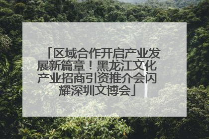 区域合作开启产业发展新篇章！黑龙江文化产业招商引资推介会闪耀深圳文博会