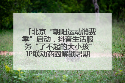 北京“朝阳运动消费季”启动，抖音生活服务“了不起的大小孩”IP联动商圈解锁暑期亲子消费新场景