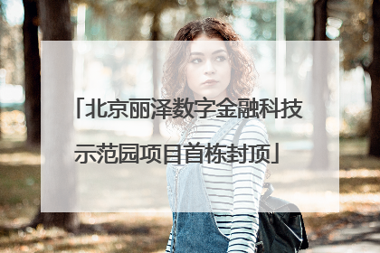 北京丽泽数字金融科技示范园项目首栋封顶