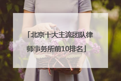 北京十大主流团队律师事务所前10排名