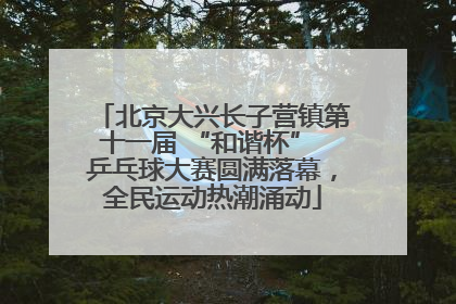 北京大兴长子营镇第十一届 “和谐杯” 乒乓球大赛圆满落幕，全民运动热潮涌动