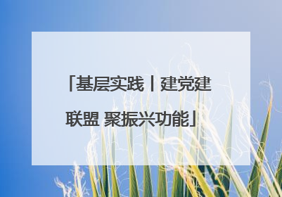 基层实践丨建党建联盟 聚振兴功能
