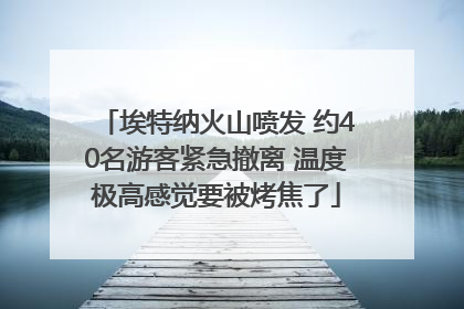 埃特纳火山喷发 约40名游客紧急撤离 温度极高感觉要被烤焦了