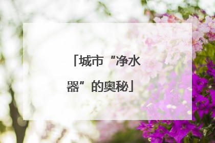 城市“净水器”的奥秘