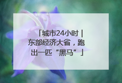 城市24小时｜东部经济大省，跑出一匹“黑马”