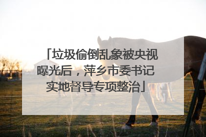 垃圾偷倒乱象被央视曝光后，萍乡市委书记实地督导专项整治