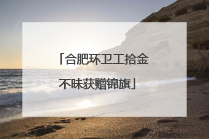合肥环卫工拾金不昧获赠锦旗