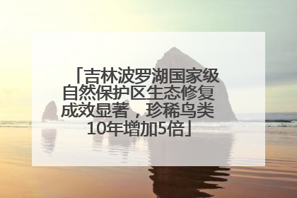 吉林波罗湖国家级自然保护区生态修复成效显著，珍稀鸟类10年增加5倍
