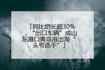 同比增长超30%，“出口车辆”成山东港口青岛港出海“头号选手”