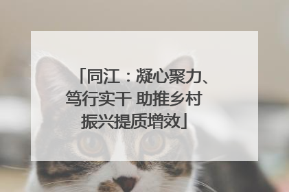同江：凝心聚力、笃行实干 助推乡村振兴提质增效