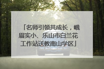 名师引领共成长，峨眉实小、乐山市白兰花工作站送教南山学区