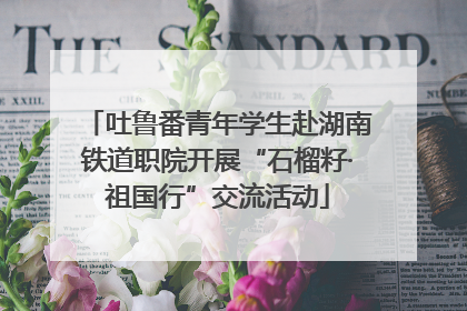 吐鲁番青年学生赴湖南铁道职院开展“石榴籽·祖国行”交流活动