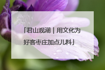 君山观潮｜用文化为好客枣庄加点儿料