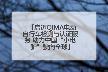启迈QIMA电动自行车检测与认证服务 助力中国“小电驴”驶向全球