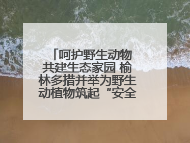 呵护野生动物 共建生态家园 榆林多措并举为野生动植物筑起“安全屏障”