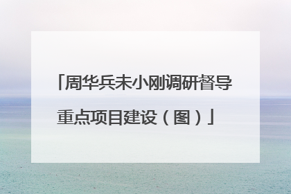 周华兵未小刚调研督导重点项目建设（图）