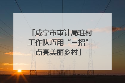 咸宁市审计局驻村工作队巧用“三招”点亮美丽乡村