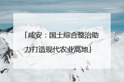 咸安：国土综合整治助力打造现代农业高地