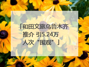 和田文旅乌鲁木齐推介 引5.24万人次“围观”