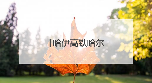 哈伊高铁哈尔滨至铁力段全线最大跨度转体桥完成转体对接