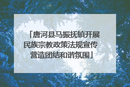 唐河县马振抚镇开展民族宗教政策法规宣传 营造团结和谐氛围