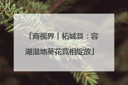 商视界丨柘城县：容湖湿地葵花竞相绽放