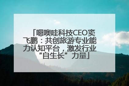 嗯噢哇科技CEO窦飞鹏：共创旅游专业能力认知平台，激发行业“自生长”力量