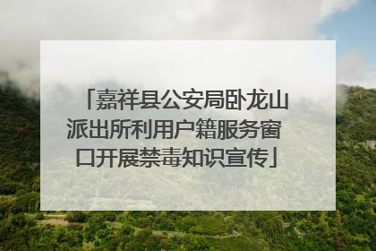 嘉祥县公安局卧龙山派出所利用户籍服务窗口开展禁毒知识宣传